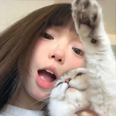 金粉世家