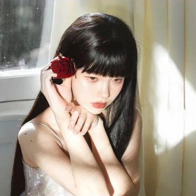 爱宠大机密2